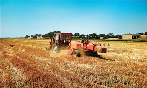 西安的设施农业机械技术逐步推广